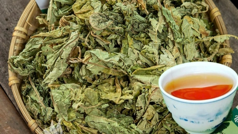 Việt Nam có loại lá phơi khô, đem đun nước uống rất lợi cho gan - 1