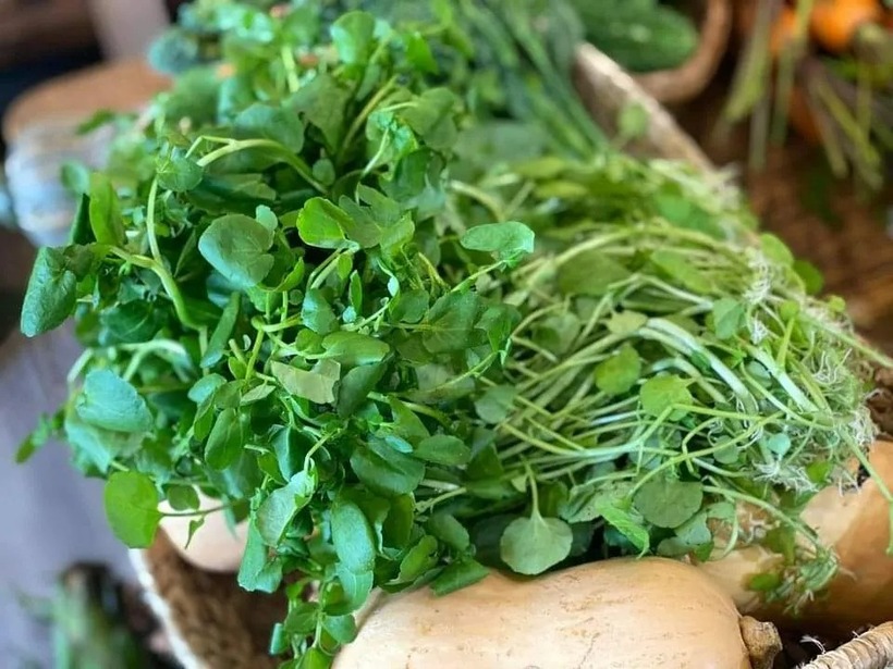 Lượng vitamin K dồi dào trong cải xoong đủ để đáp ứng nhu cầu hằng ngày của bạn.