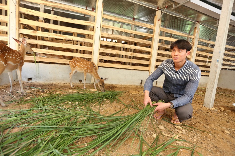 Anh Nguyễn Hồng Tiệp chính thức đầu tư nuôi hươu với quy mô lớn từ tháng 5/2021. Ảnh: VietNamnet