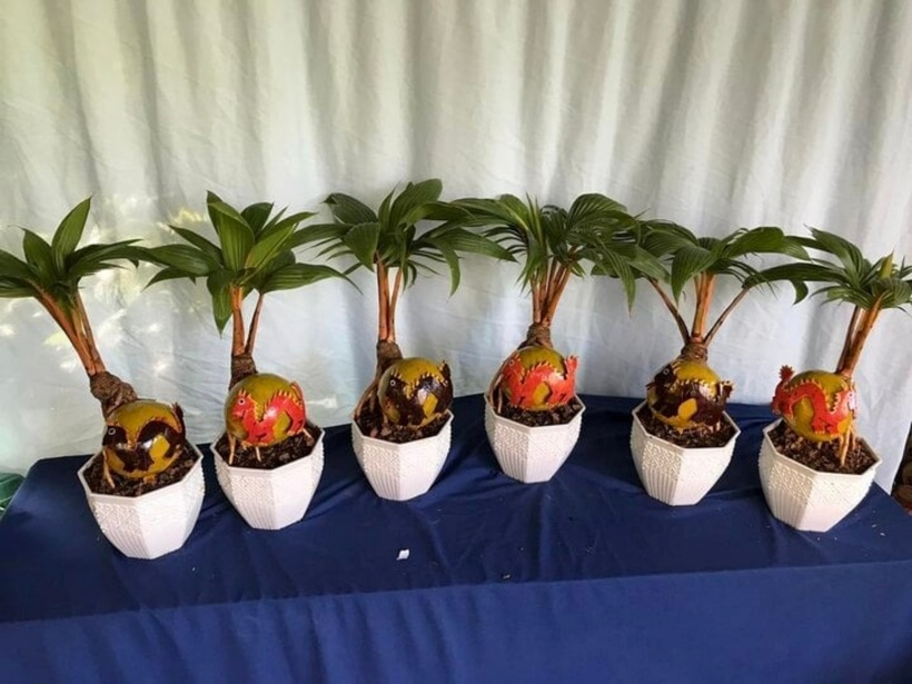 Một cây bonsai dừa dáng chuẩn ít nhất phải nuôi dưỡng 6 tháng trở lên, trong đó để chăm cho một cái lá phải mất 1 tháng trời vì lúc nào cũng dưỡng chúng luôn xanh mướt