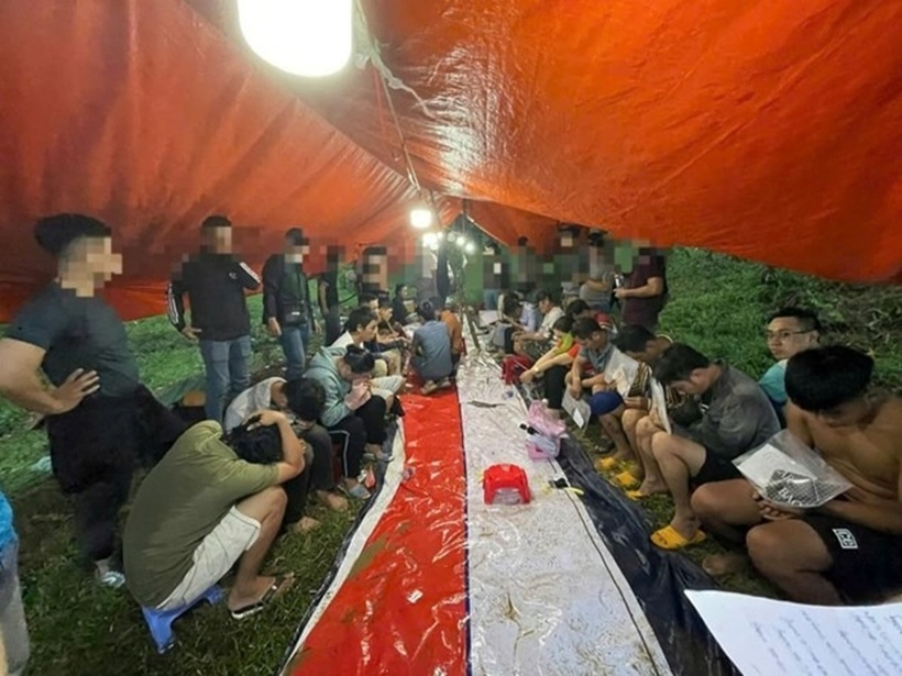 Đà Nẵng triệt phá sới bạc trong rừng keo, tạm giữ 14 đối tượng. Ảnh: Lao động