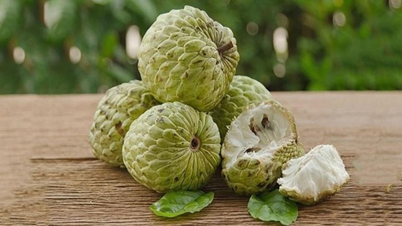 Na là loại quả chứa nhiều đường, cung cấp nhiều năng lượng nên người thừa cân béo phì không nên ăn nhiều.