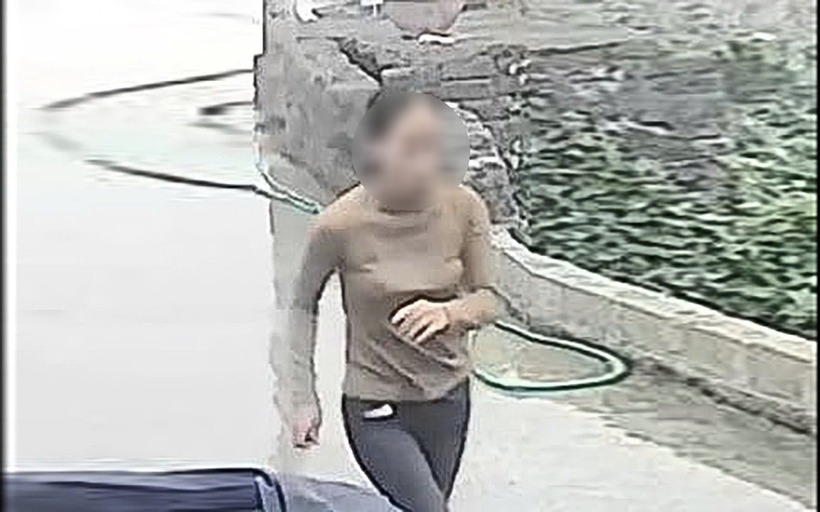 Bà Trần Thị V.. (Ảnh: Dân trí)