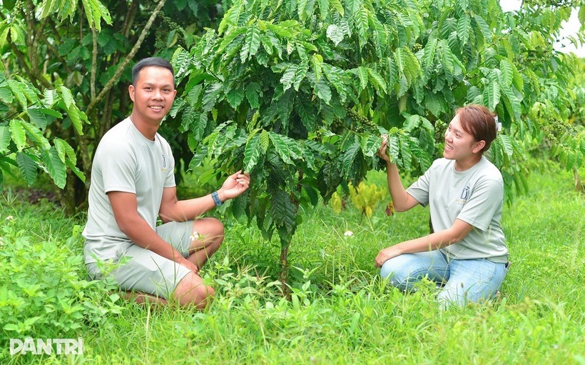 Vợ chồng anh Lộc tại khu vườn cà phê của gia đình. Ảnh: Dân trí