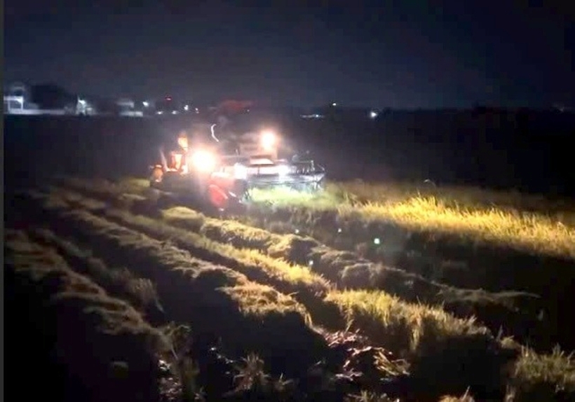 Nông dân ở phường Bắc Gianh (tỉnh Quảng Trị) gặt lúa xuyên đêm. Ảnh: Thanh Niên