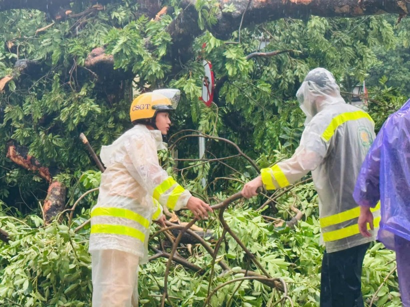 Bên cạnh ngập lụt, mưa lớn kèm gió mạnh còn gây ra sự cố cây xanh gãy đổ. Tại ngã tư Trần Phú - Chu Văn An, một cây cổ thụ lớn đã bật gốc, đổ ngang đường và đè lên hai chiếc ô tô đang đỗ. Rất may, vụ việc không gây thiệt hại về người, hai chiếc xe chỉ bị hư hỏng nhẹ. Ngay sau khi sự cố xảy ra, lực lượng chức năng đã có mặt để phân luồng giao thông và tiến hành cưa cắt, giải phóng hiện trường. Ảnh: Công an cung cấp