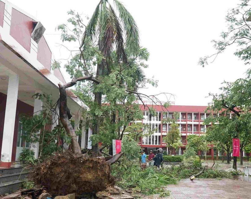 Bão số 5 đã gây ra nhiều hậu quả nặng nề cho các trường học tại Nghệ An. Ảnh: Lao động