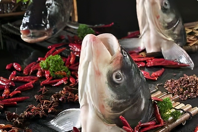 Trong đầu cá cũng có chứa nhiều vi khuẩn, vi sinh vật độc hại.