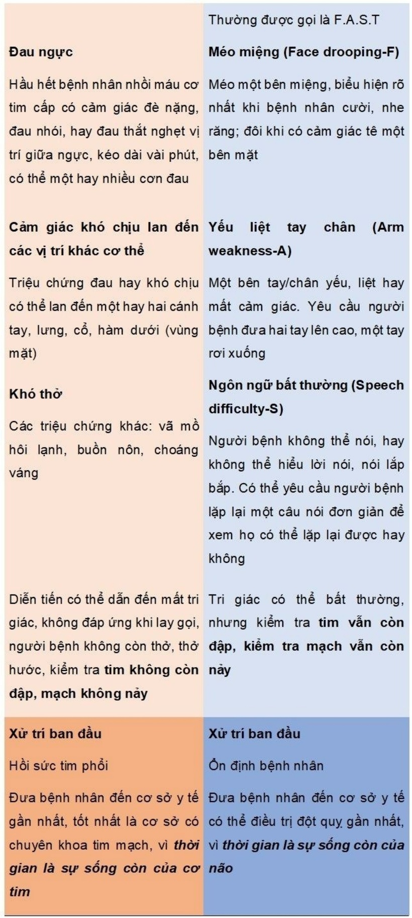 Nắm vững những dấu hiệu của bệnh đột quỵ, cứu sống người bệnh trong tích tắc - 2