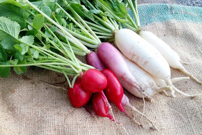Loại thực phẩm rẻ tiền được coi là "vị cứu tinh" cho người bị gan nhiễm mỡ - 1