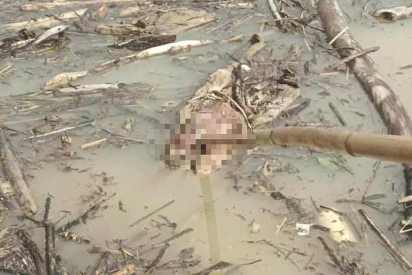 Thi thể thứ 4 được phát hiện. Ảnh: Dân Trí