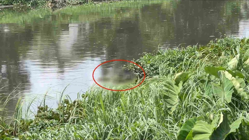 Hiện trường phát hiện thi thể nam thanh niên ở dưới rạch Ông Bố, phường Bình Hòa, TP.HCM. Ảnh: Lao động