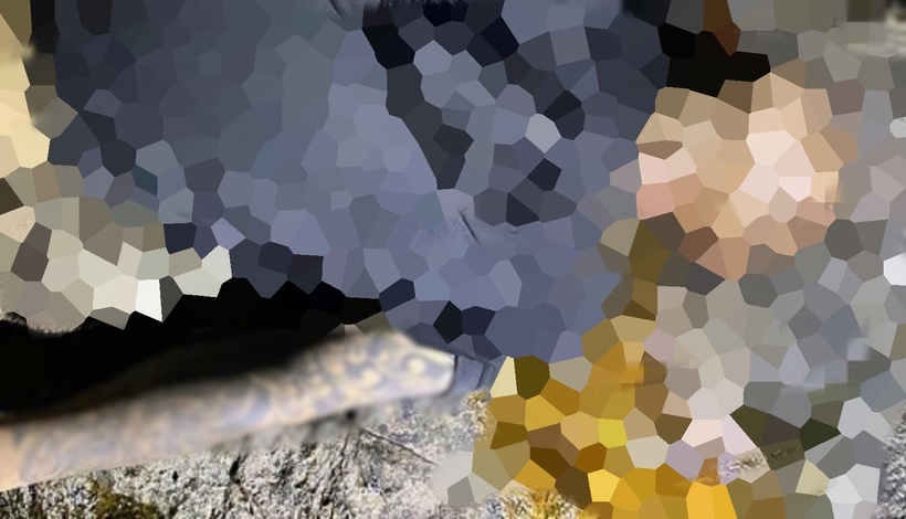 Phát hiện thi thể nam giới ở khu vực Bãi Chuối: Nạn nhân mặc quần lửng màu vàng, xăm kín cánh tay trái. Ảnh: Công an Nhân dân