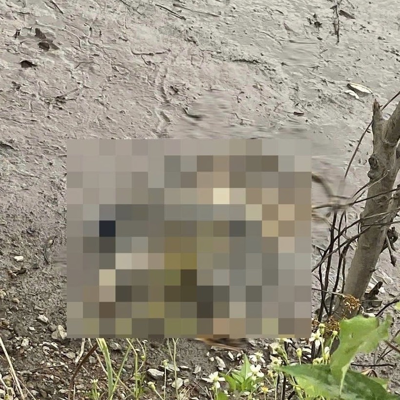 Hiện trường nơi phát hiện thi thể chỉ còn lại xương. Ảnh: VietNamNet.