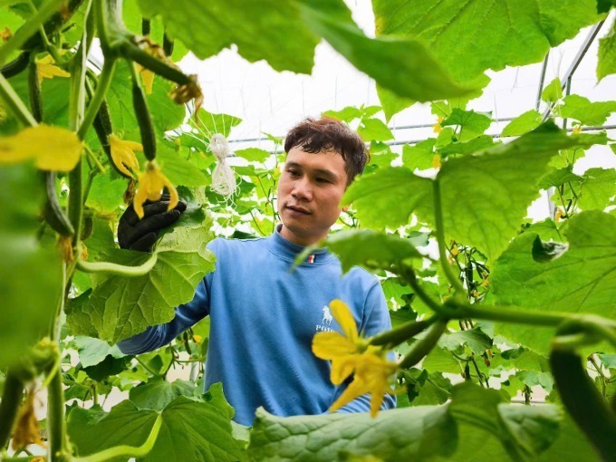 Nghỉ việc ở công ty nước ngoài, kỹ sư Nguyễn Đức Thành bỏ hết vốn liếng đi học cách làm nông công nghệ cao. Ảnh: VnExpress