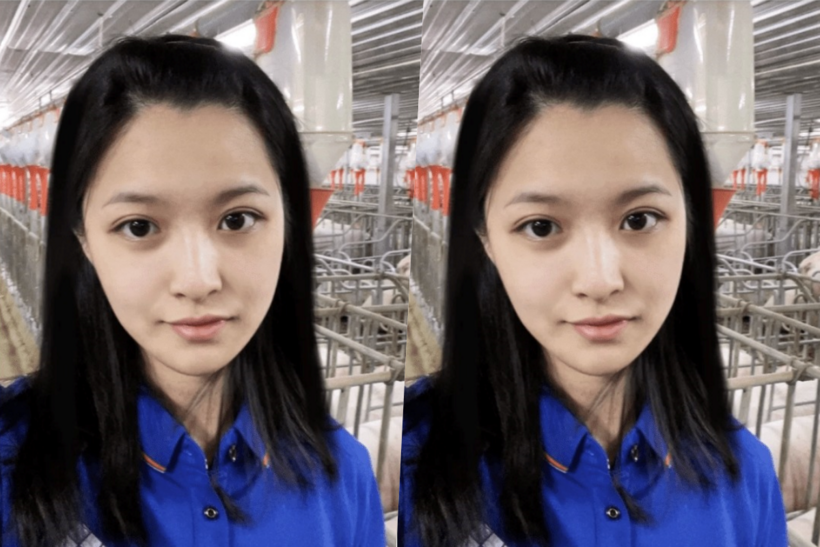 Cử nhân xinh đẹp ngành Thú y bỏ phố về quê, hạnh phúc với công việc nuôi lợn, thu nhập hơn 340 triệu/năm. Ảnh: Sohu