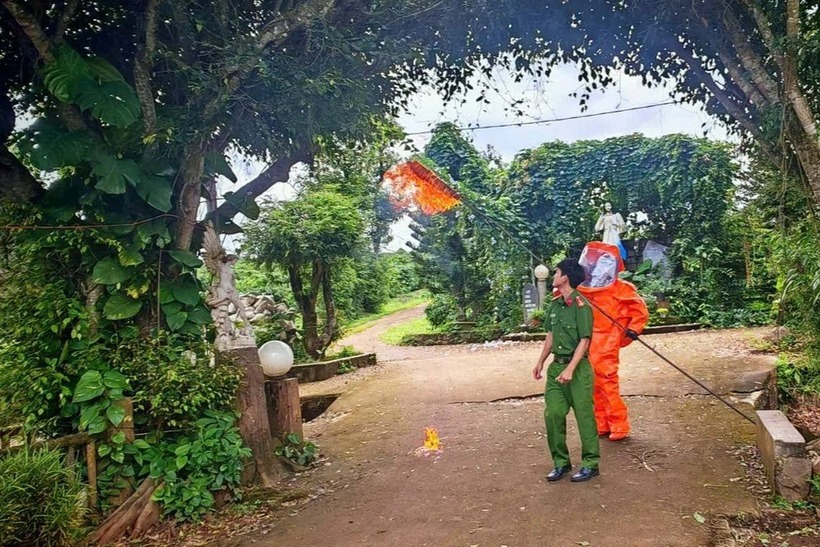 Lực lượng chức năng phá tổ ong vò vẽ đã đốt 3 trẻ nhỏ thương vong. (Ảnh: Công an xã An Phú)