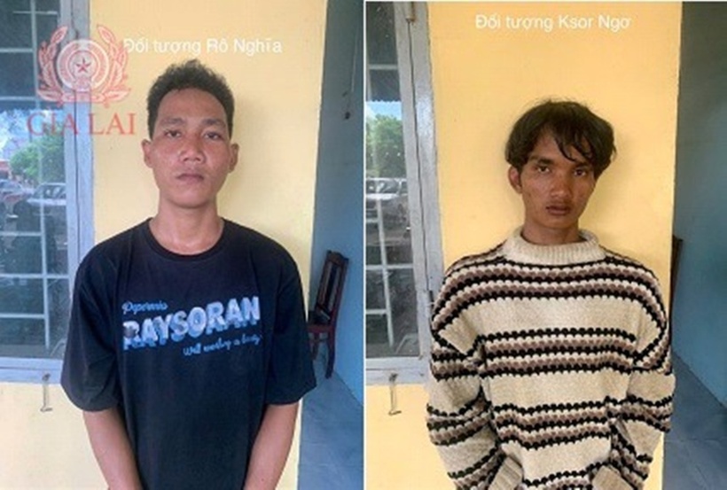 Hai thanh niên cướp điện thoại của người chăn bò rồi ra đầu thú. Ảnh: Công an tỉnh Gia Lai.
