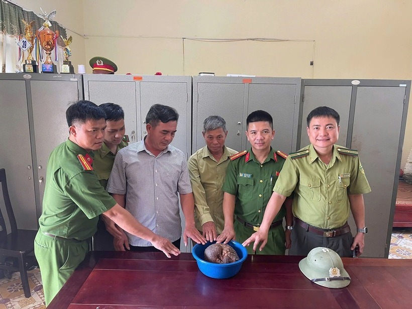 Công an xã Tân Phú đã bàn giao cá thể tê tê cho UBND xã Tân Phú và Hạt Kiểm lâm Tân Kỳ. Ảnh: Công an tỉnh Nghệ An.