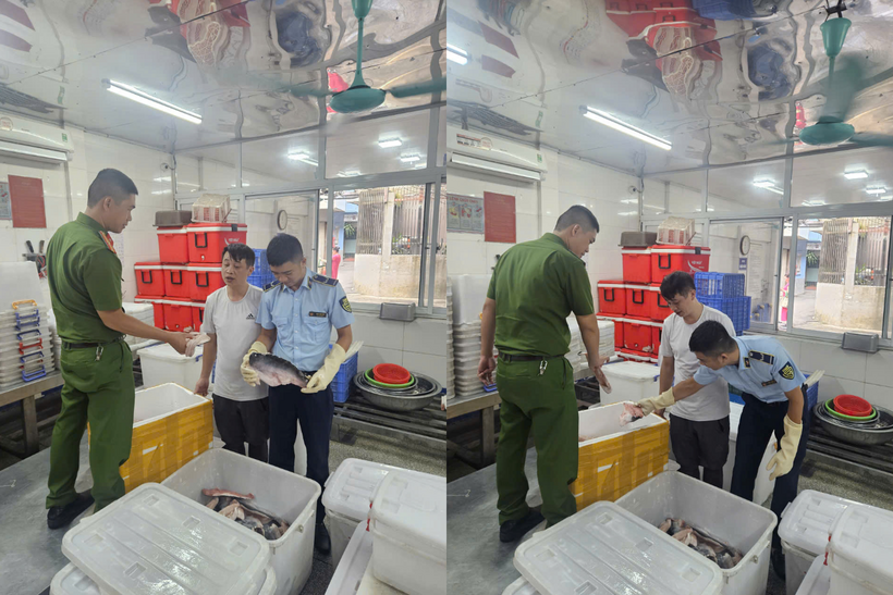 Đội QLTT số 2 phối hợp công an kiểm tra thực phẩm tại một cơ sở kinh doanh ở Hà Nội. Ảnh: QLTTHN