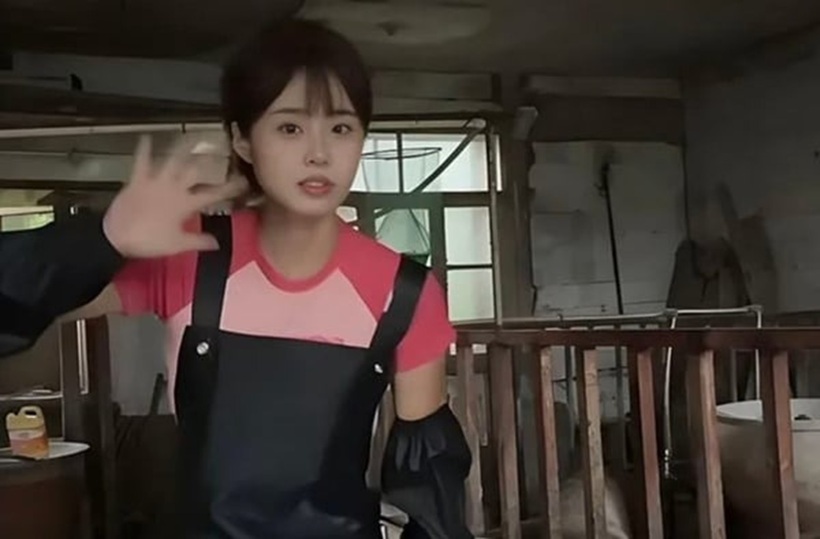 Câu chuyện về Dương Nhan Tây đã trở thành nguồn cảm hứng mạnh mẽ cho nhiều người trẻ. Ảnh: Sohu