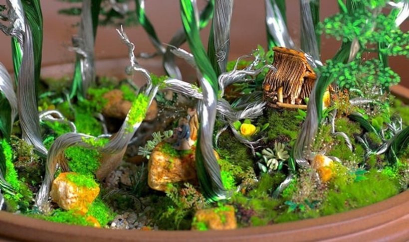 Anh T. thành lập CLB bonsai để giúp đỡ những người trẻ tuổi, những người khuyết tật.