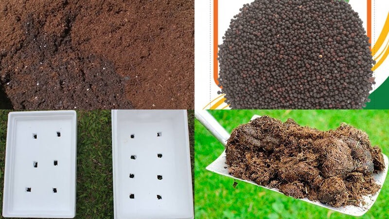 Chuẩn bị dụng cụ và nguyên liệu