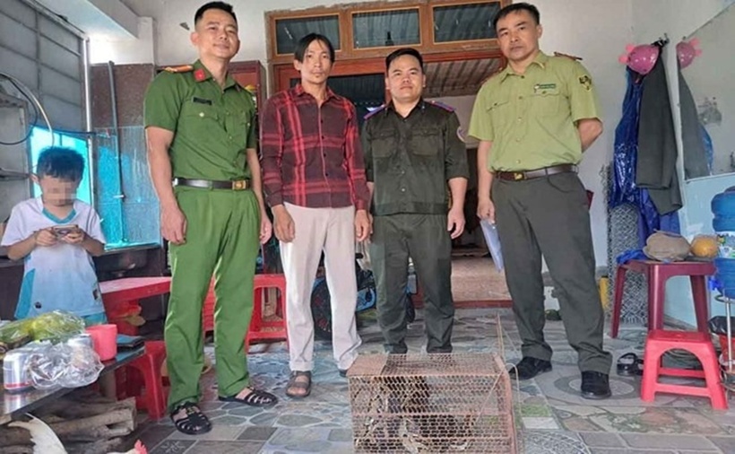 Anh Hiệp bàn giao cá thể trăn đất nặng 10kg cho lực lượng chức năng để thả về tự nhiên. (Ảnh: Lao động)