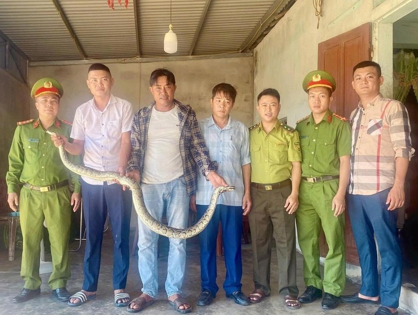 Gia đình anh Nguyễn Tiến Cường bàn giao con trăn đất nặng 5kg. (Ảnh: CA tỉnh Hà Tĩnh)