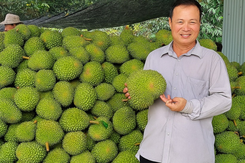 Anh Huỳnh Thanh Lâm trở thành tỷ phú nhờ trồng sầu riêng. Ảnh: VietNNamnet