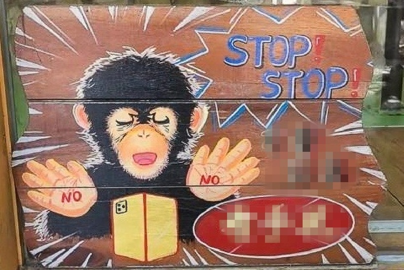 Tấm biển vẽ hình một chú tinh tinh và chiếc điện thoại, với chữ "No" màu đỏ đậm được viết trên lòng bàn tay. Ảnh: Douyin.