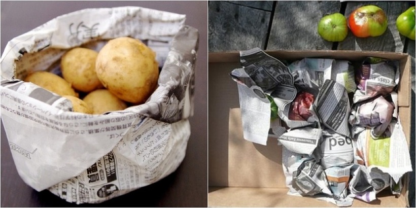 Khả năng hút ẩm của báo cũ giúp bảo quản thực phẩm, đặc biệt là rau củ.