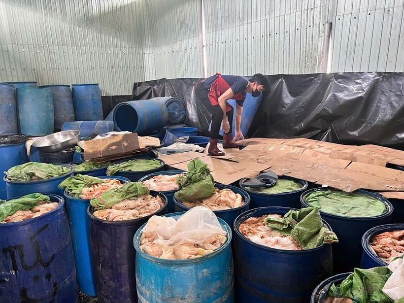 Cơ sở có hàng trăm thùng nhựa chứa da heo và mỡ bốc mùi hôi thối. (Ảnh: Báo Gia Lai)