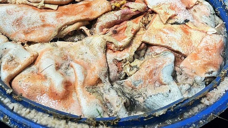 Da, mỡ lợn bốc mùi hôi thối nồng nặc. (Ảnh: Báo Nhân dân)