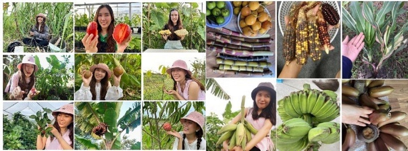 Có hơn 100 loại cây độc lạ được Tường Vi tiếp cận, chinh phục và trồng thành công tại vùng đất miền Tây. Ảnh: Tri thức & Cuộc sống