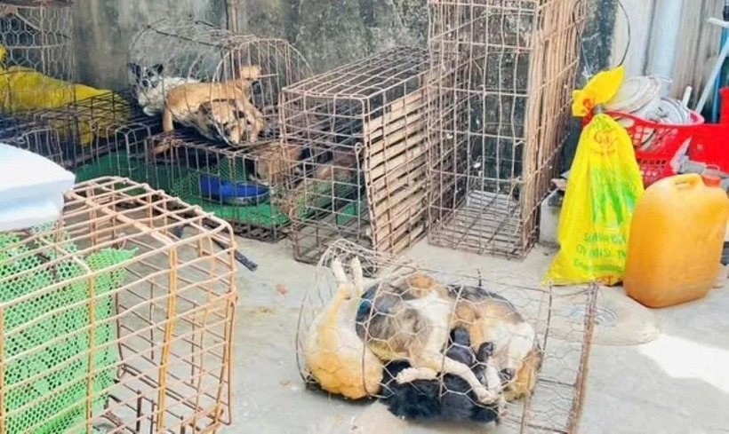 Tang vật liên quan vụ án. (Ảnh: Pháp luật TP.HCM)