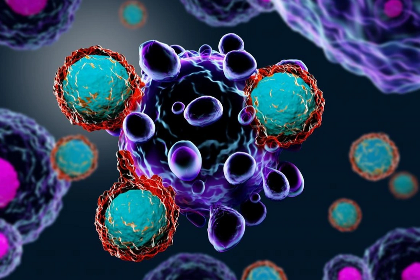 Bệnh tự miễn xảy ra khi hệ miễn dịch mất kiểm soát và tấn công nhầm chính các tế bào khỏe mạnh (Phản ứng tự miễn)