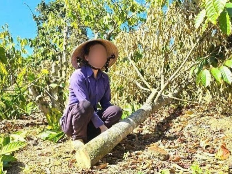 Bà G.P.T. bị xử phạt vi phạm hành chính. Ảnh: Vietnamnet