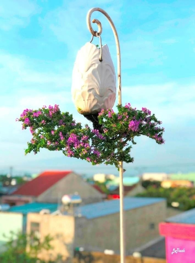 Với niềm đam mê và cách chơi độc đáo, ông L.T đã "hóa kiếp" cho hàng trăm tác phẩm bonsai khác nhau. Với ông, chơi cây cảnh không phải là để kinh doanh, mà là để tận hưởng vẻ đẹp và sự độc lạ của nó. Dù có người sẵn sàng trả hàng chục, thậm chí hàng trăm triệu đồng, nhưng ông vẫn không bán. Lý do đơn giản: ông sợ họ mua vì giá trị mà không thực sự yêu cây như chính "đứa con" của mình. Thay vào đó, ông sẵn sàng đem tặng cho những ai có chung niềm đam mê và biết trân quý từng tác phẩm.
