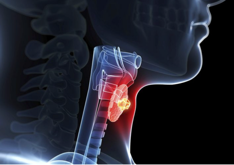 Hình ảnh minh hoạ tuyến giáp. Ảnh: VietNamNet.