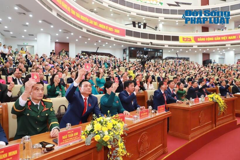 Các đại biểu tham dự đại hội phiên trù bị