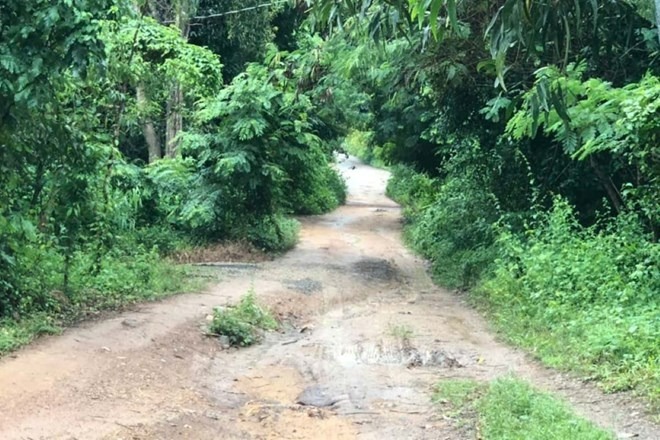 Đường dẫn vào hiện trường nơi xảy ra vụ án nghi con sát hại mẹ ruột. (Ảnh: Lao động)