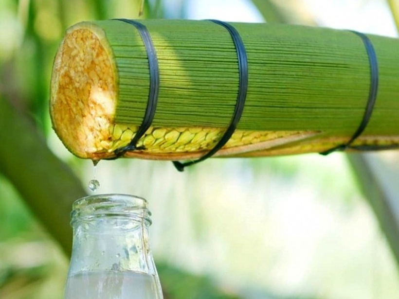 Những giọt mật hoa dừa Sokfarm. Ảnh: Sokfarm