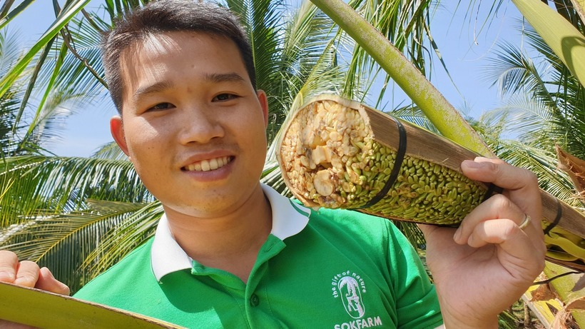 Anh Phạm Đình Ngãi đang thu mật hoa dừa. Ảnh: Dân Việt