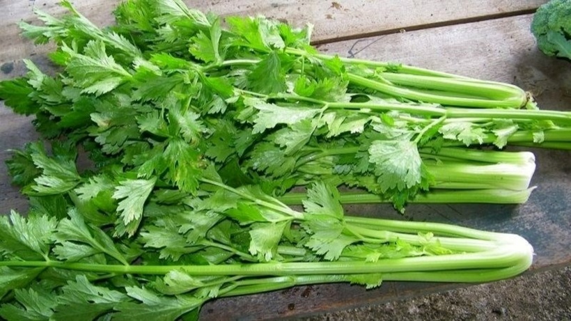 Cần tây hỗ trợ làm hạ và ổn định huyết áp qua nhiều cơ chế như giúp lợi tiểu, hỗ trợ thải muối natri, hỗ trợ giãn mạch và làm giảm mỡ máu. Ảnh minh họa.