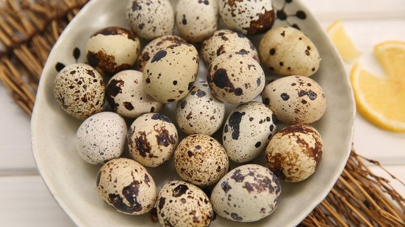 So với trứng gà, trứng cút có kích thước chỉ bằng khoảng 1/5 nhưng lại sở hữu hàm lượng dinh dưỡng vô cùng ấn tượng.
