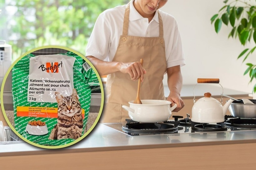 Nghiên cứu sinh Trung Quốc "ăn thức ăn cho mèo" để tiết kiệm tiền du học Thụy Sĩ. Ảnh minh họa: SCMP.