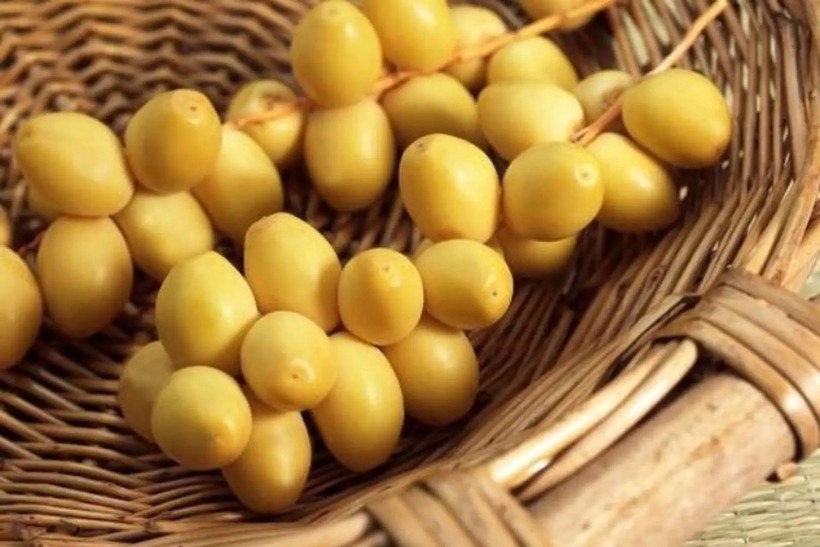 Cách sử dụng chà là hiệu quả.