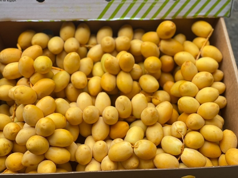 Người bệnh thận có nên ăn quả chà là không?