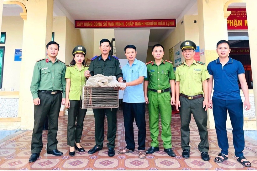 Hai cá thể động vật quý hiếm được bàn giao cho lực lượng chức năng. Ảnh: Tiền phong